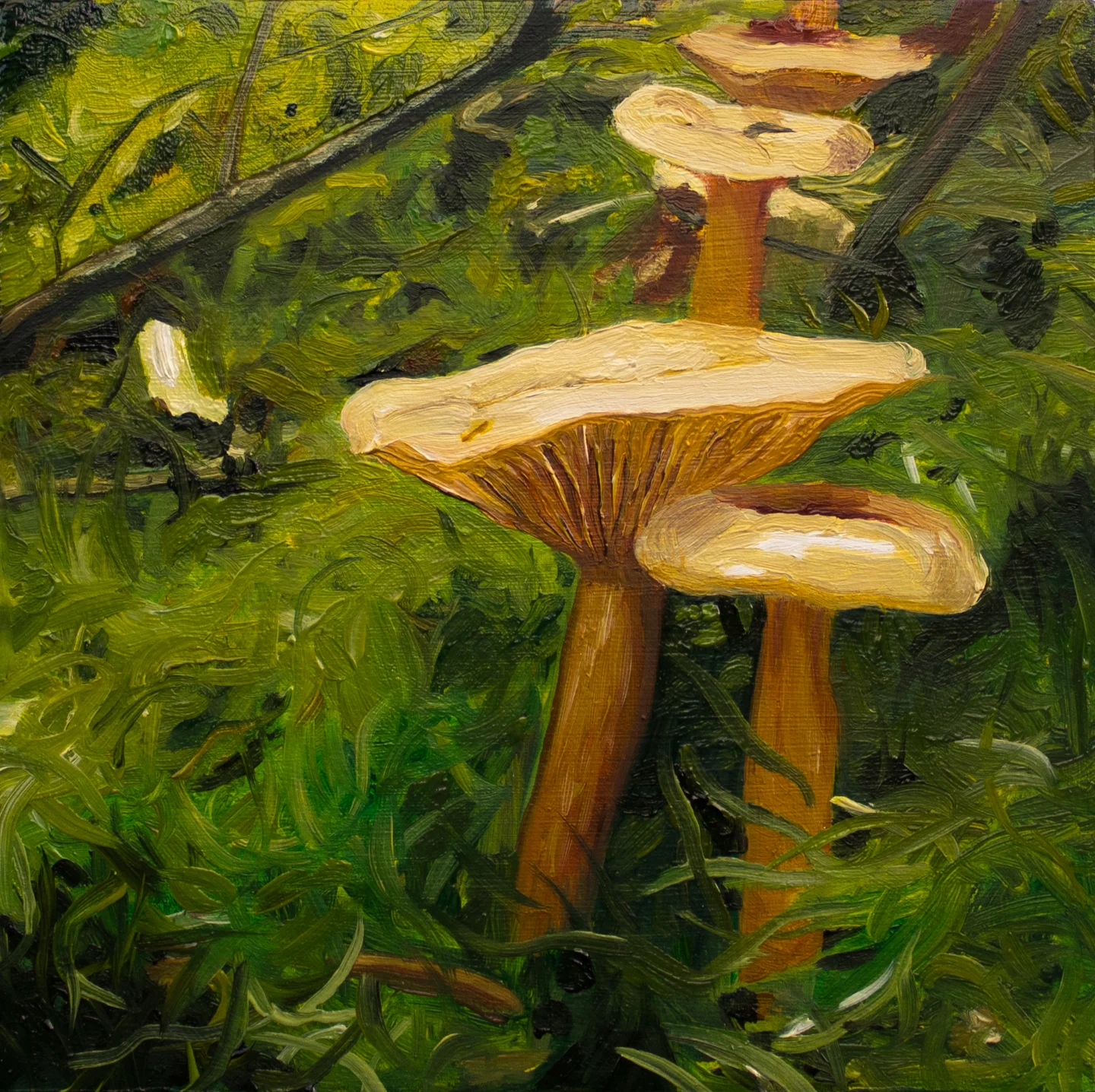 Together on the forest floor
